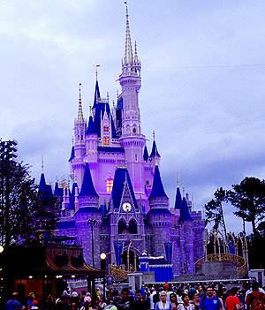 Disney Castle