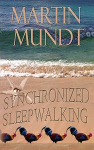Synchronized Sleepwalking by Martin Mundt